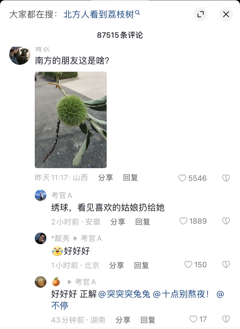 哈哈，有被笑到。