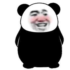 我家七仔