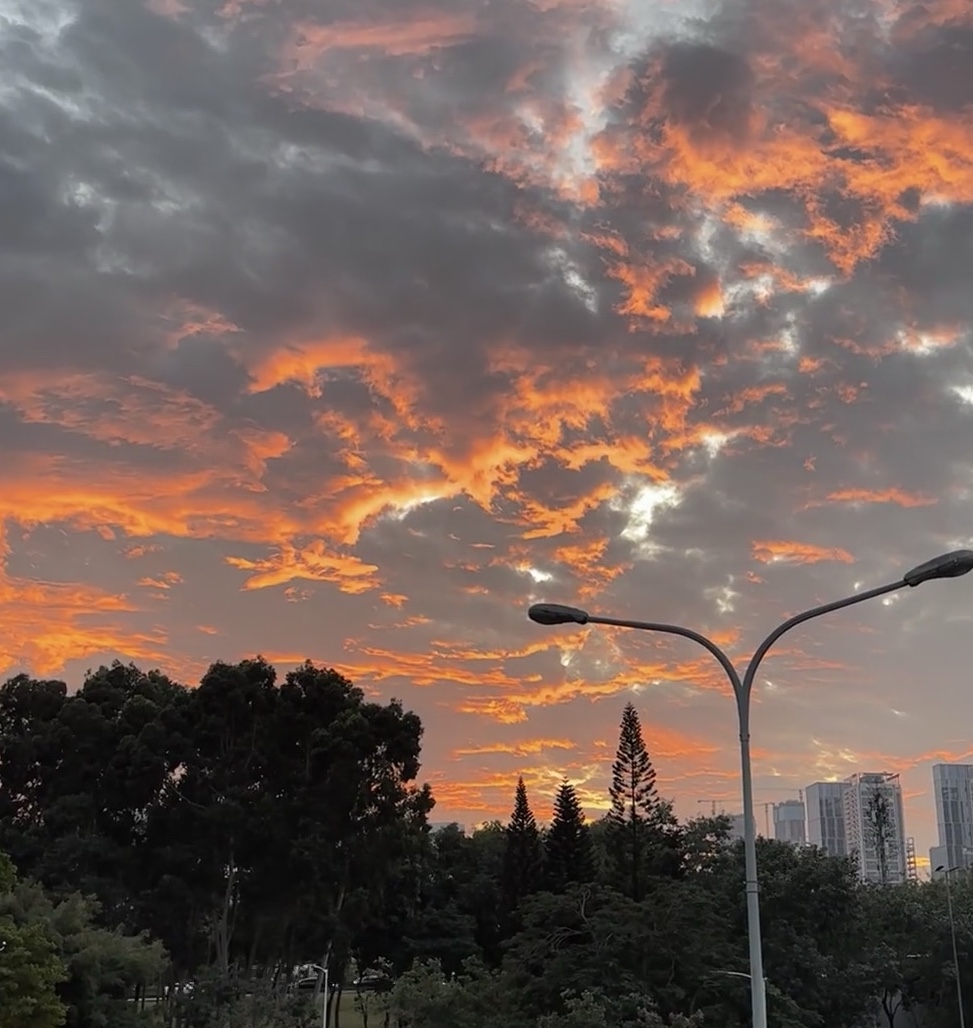 此时此景
