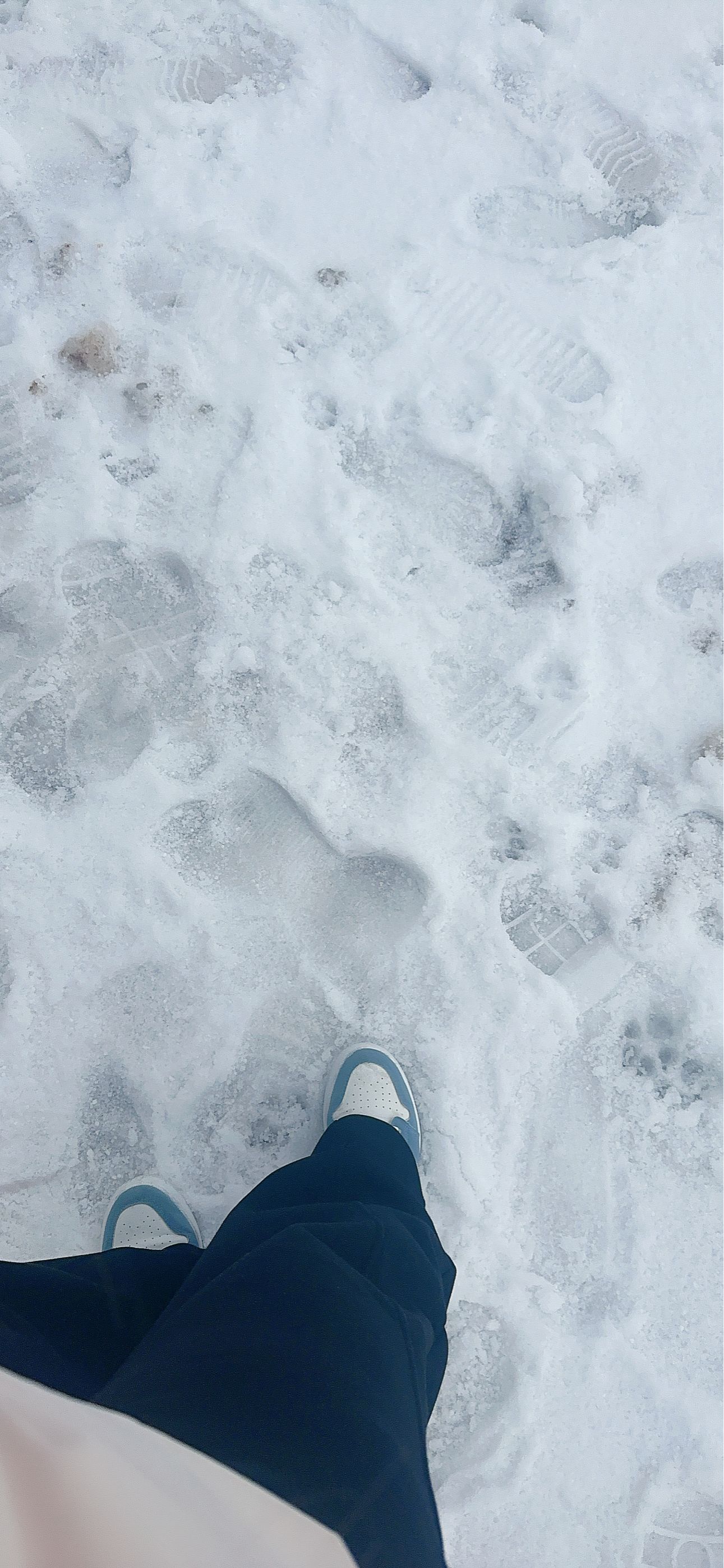 跳雪坑，啦啦