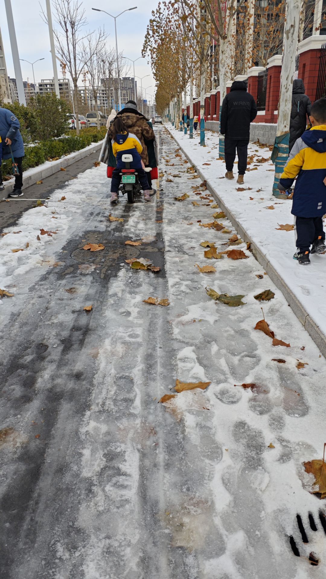 阳光这么好，何必自寻烦恼