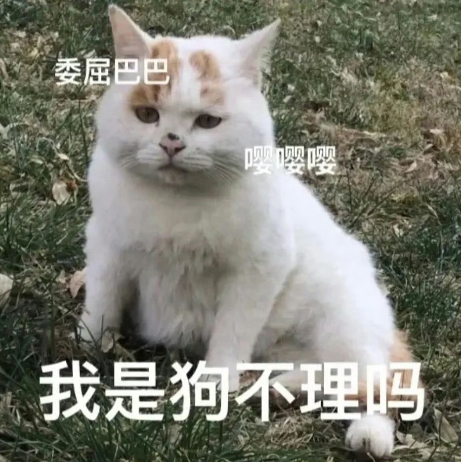 好困