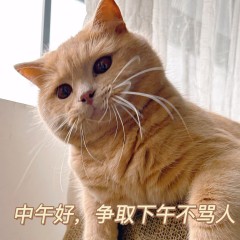 花约