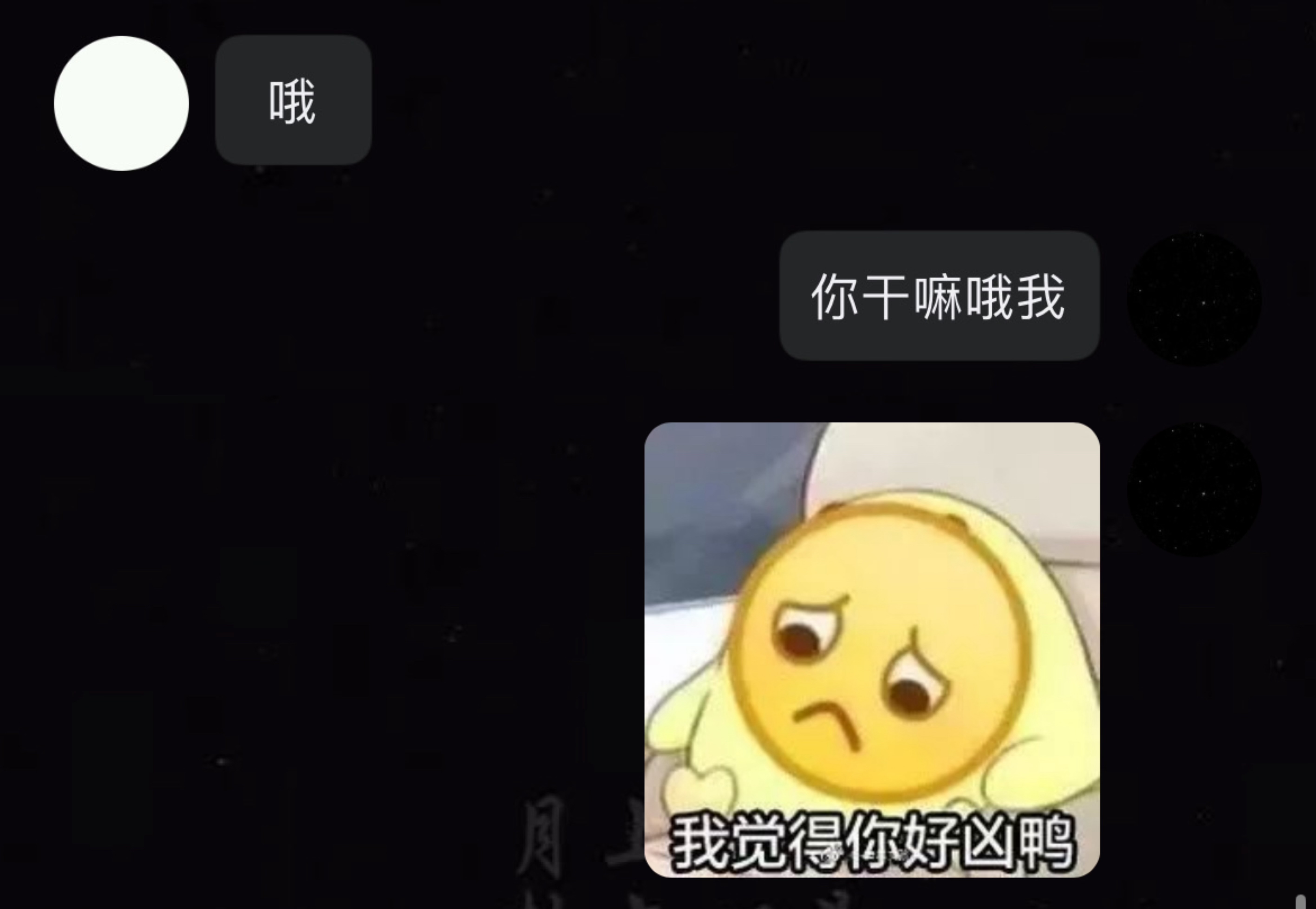 它凶我