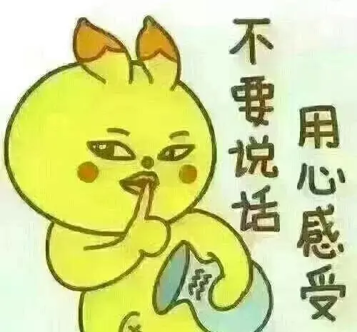 致珍惜我的人