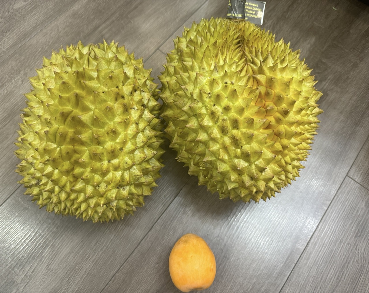 榴莲榴莲