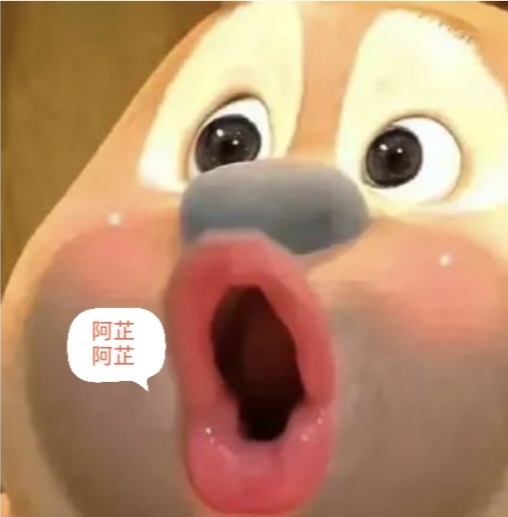 阿芷早安