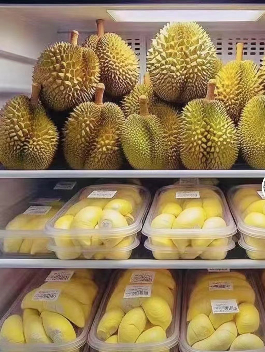 七七，榴莲