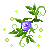 　　我有花花