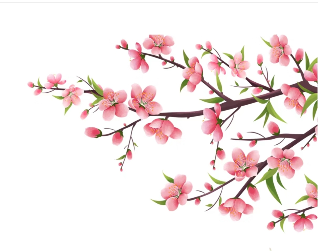 桃花