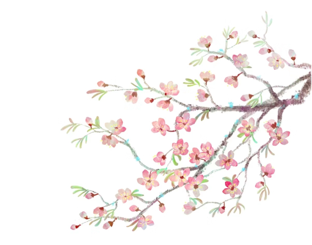 　　我觉得桃花跟梅花有点像　゛　