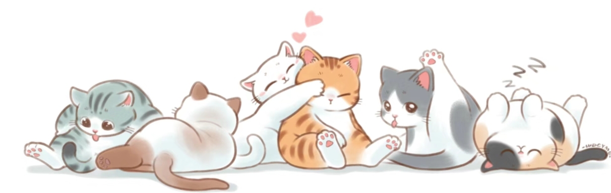 猫咪