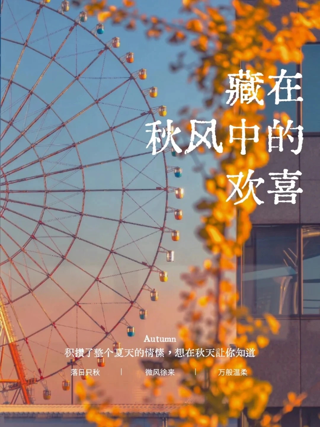 安然别盛夏，从容待秋风。