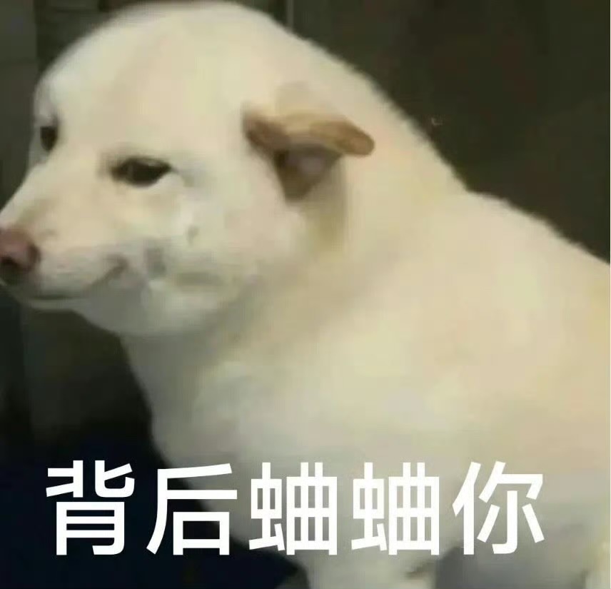 出门要像明星一样保护自己，要不然就会被别人抢走