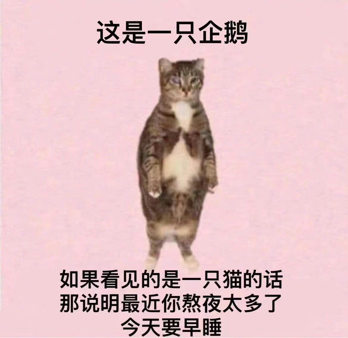 冷飕飕的