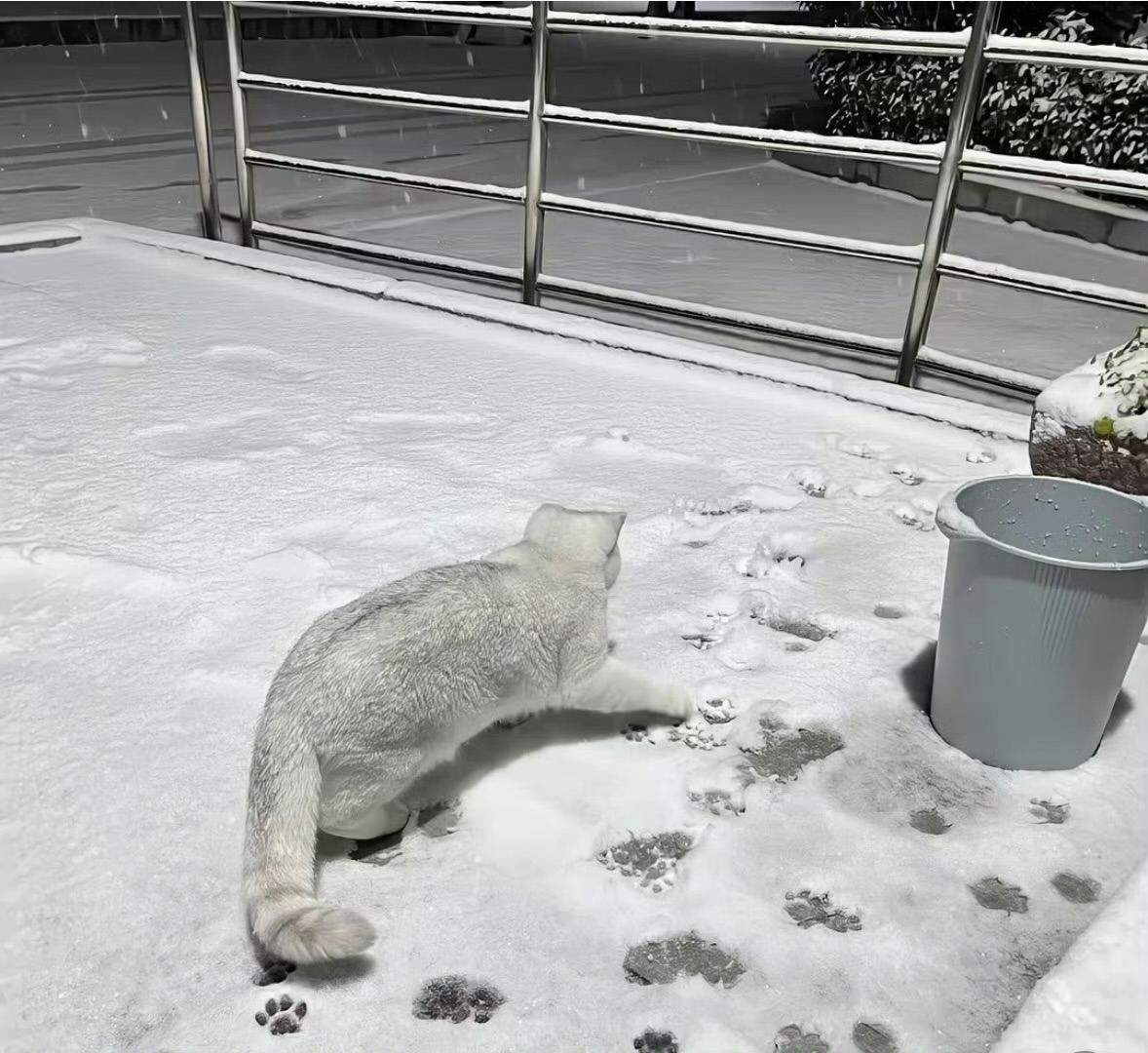 妾起舞翩翩