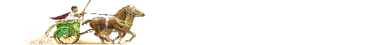 寡王晚上好啊