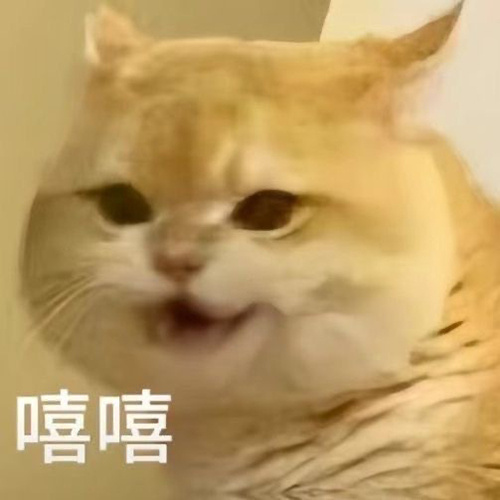 小羽毛出场了