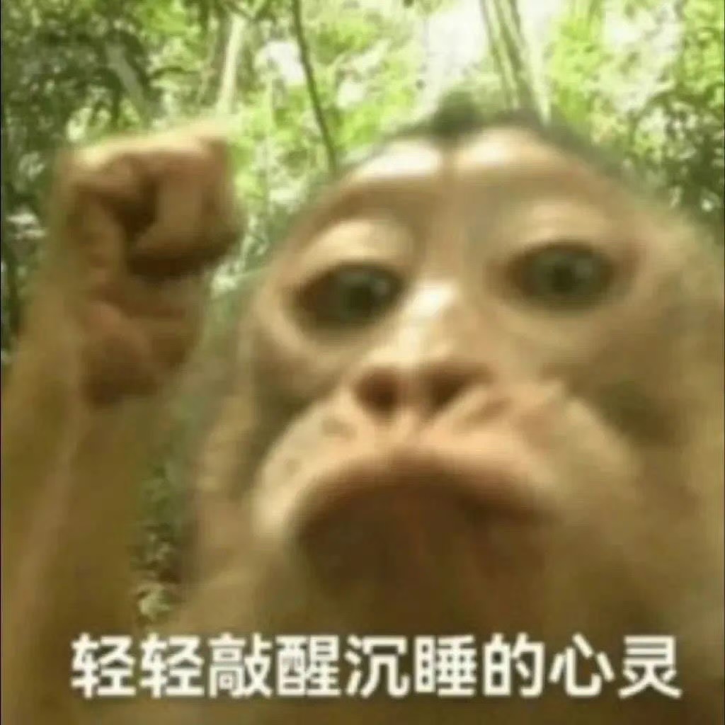 一休哥