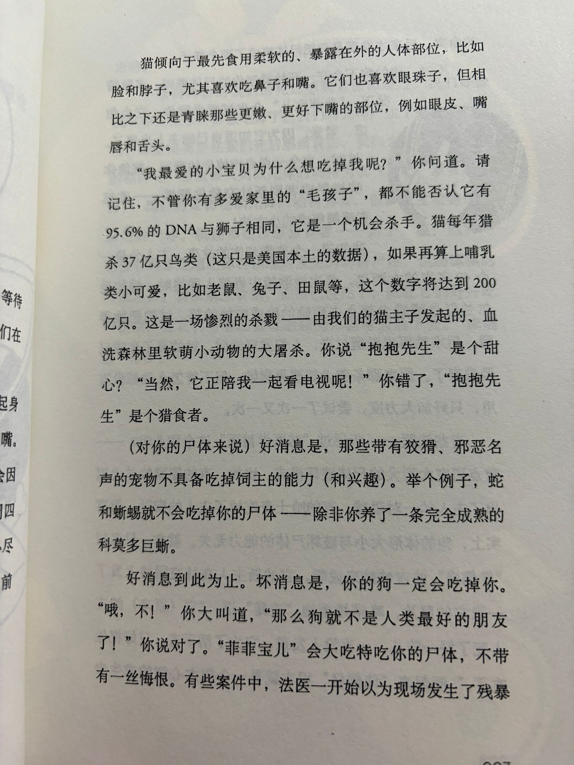 猫咪会吃掉你的眼珠子吗