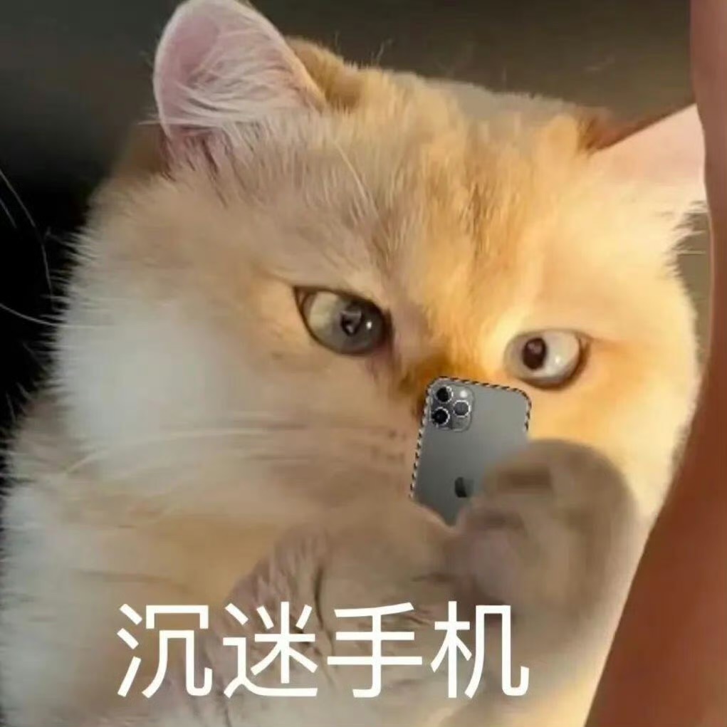 这风也太大了
