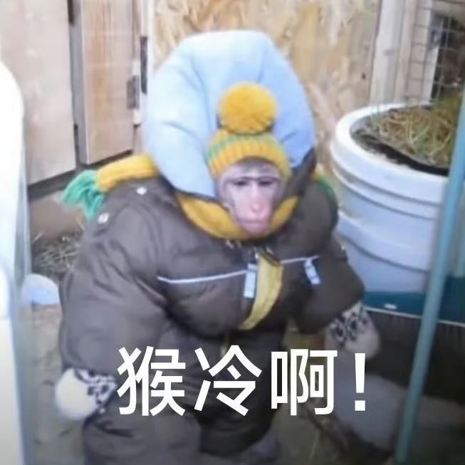世上本没帅哥，科技高了，自然就有了