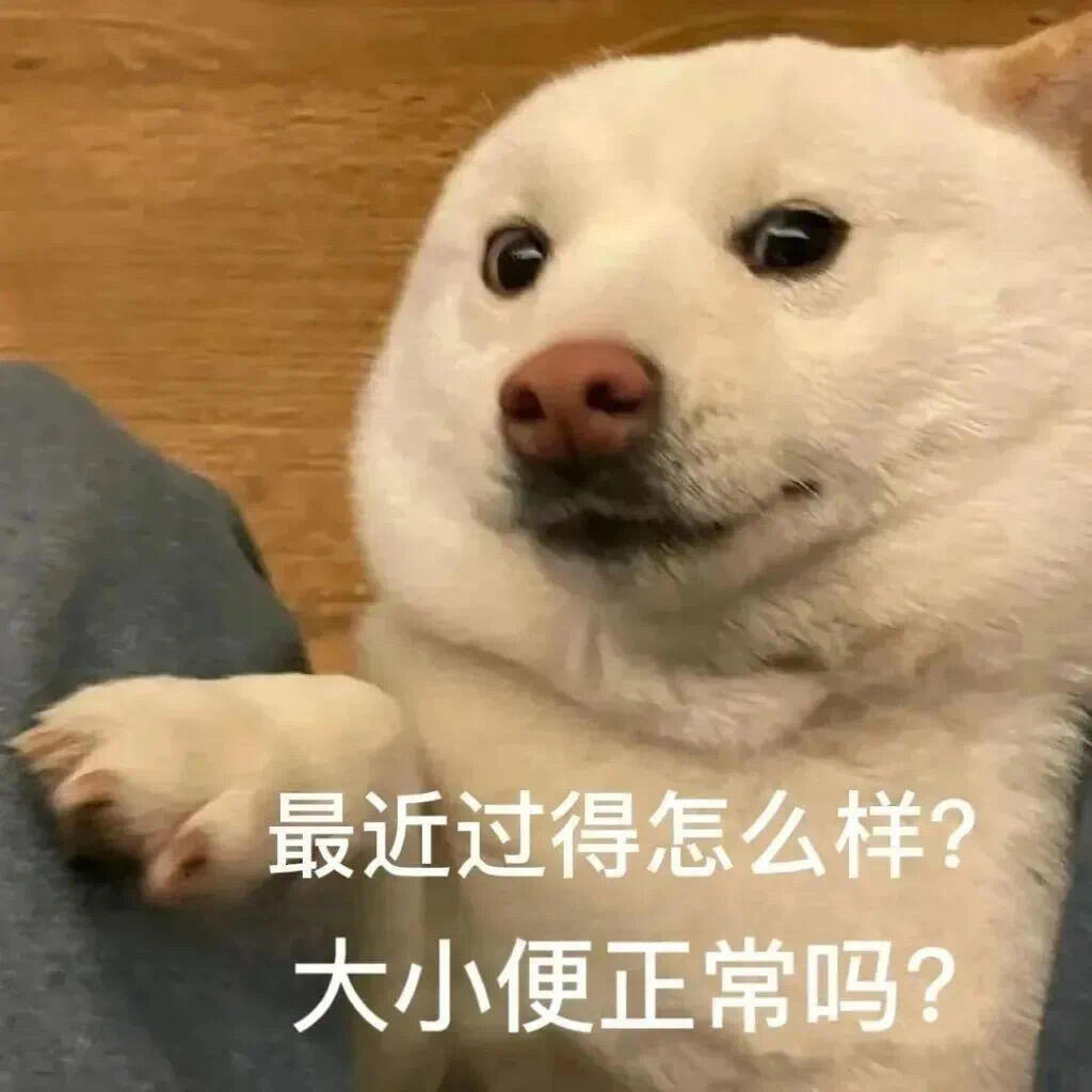 现实如山，而我浪漫如云