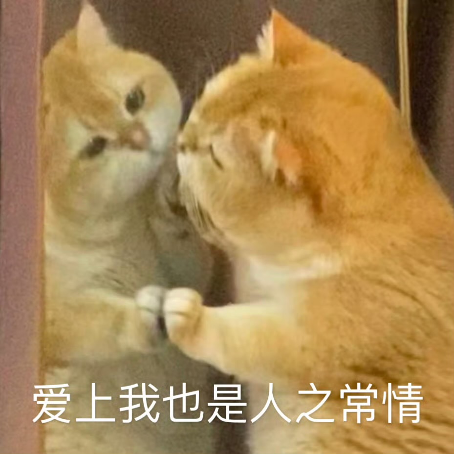蚂蚁不睡觉，每天打两次8分钟的盹儿