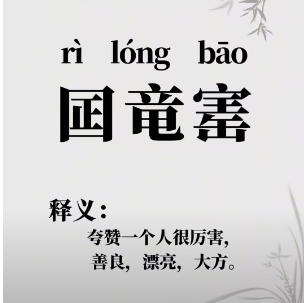 日龙包