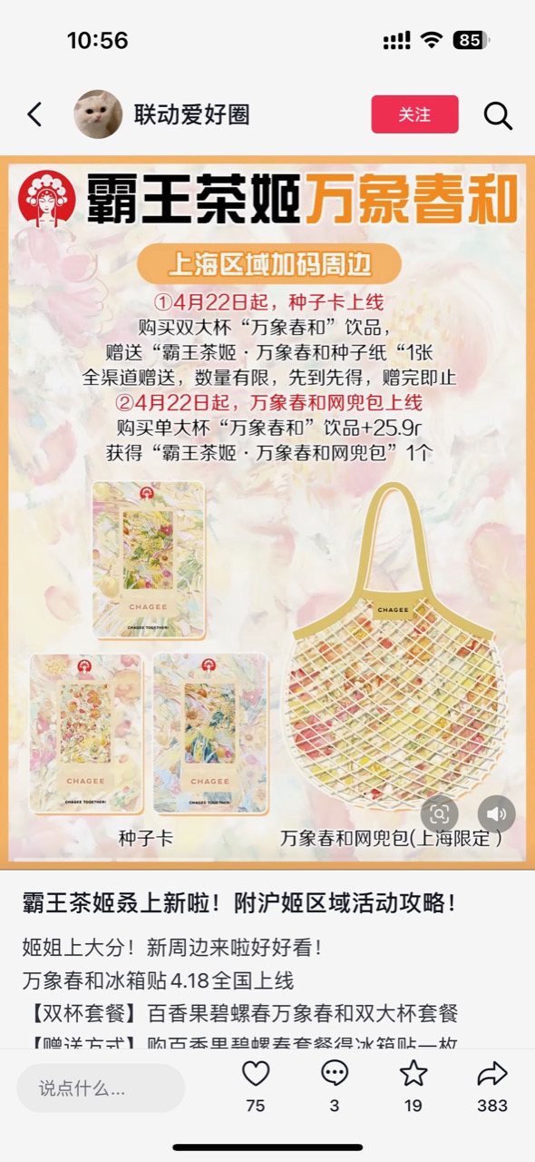 上海老表有没有