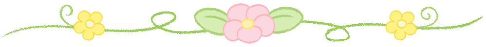 荷花分割线