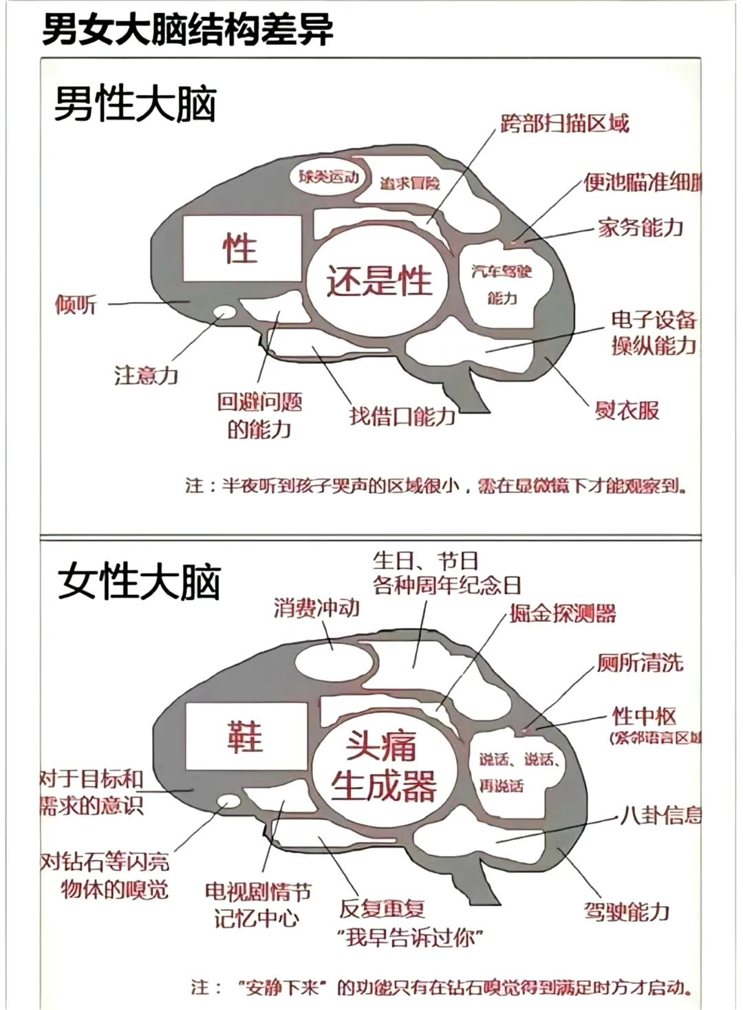 据说这是男女大脑之间的差异。