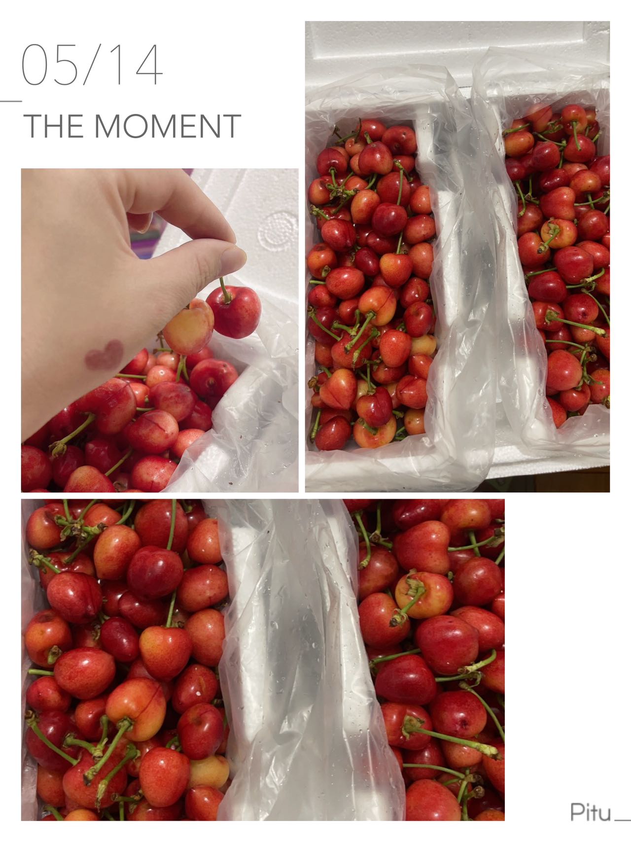 空运过来的樱桃🍒