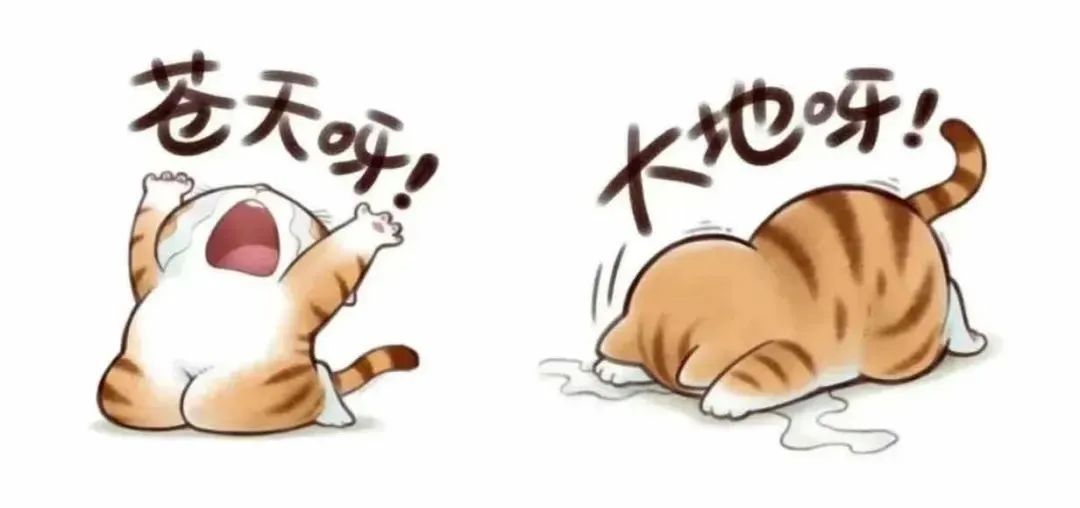 35度