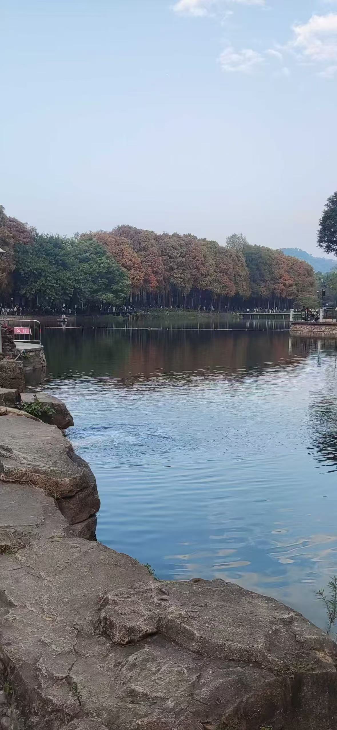 倾城