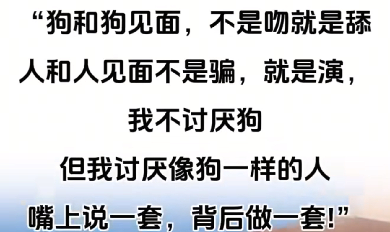 替摆烂的咸鱼找老婆 
