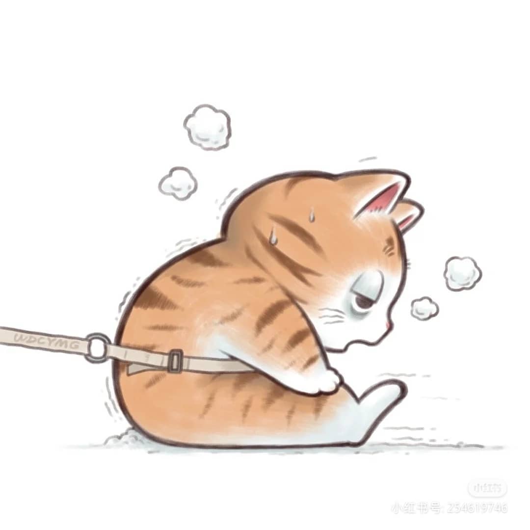 50336